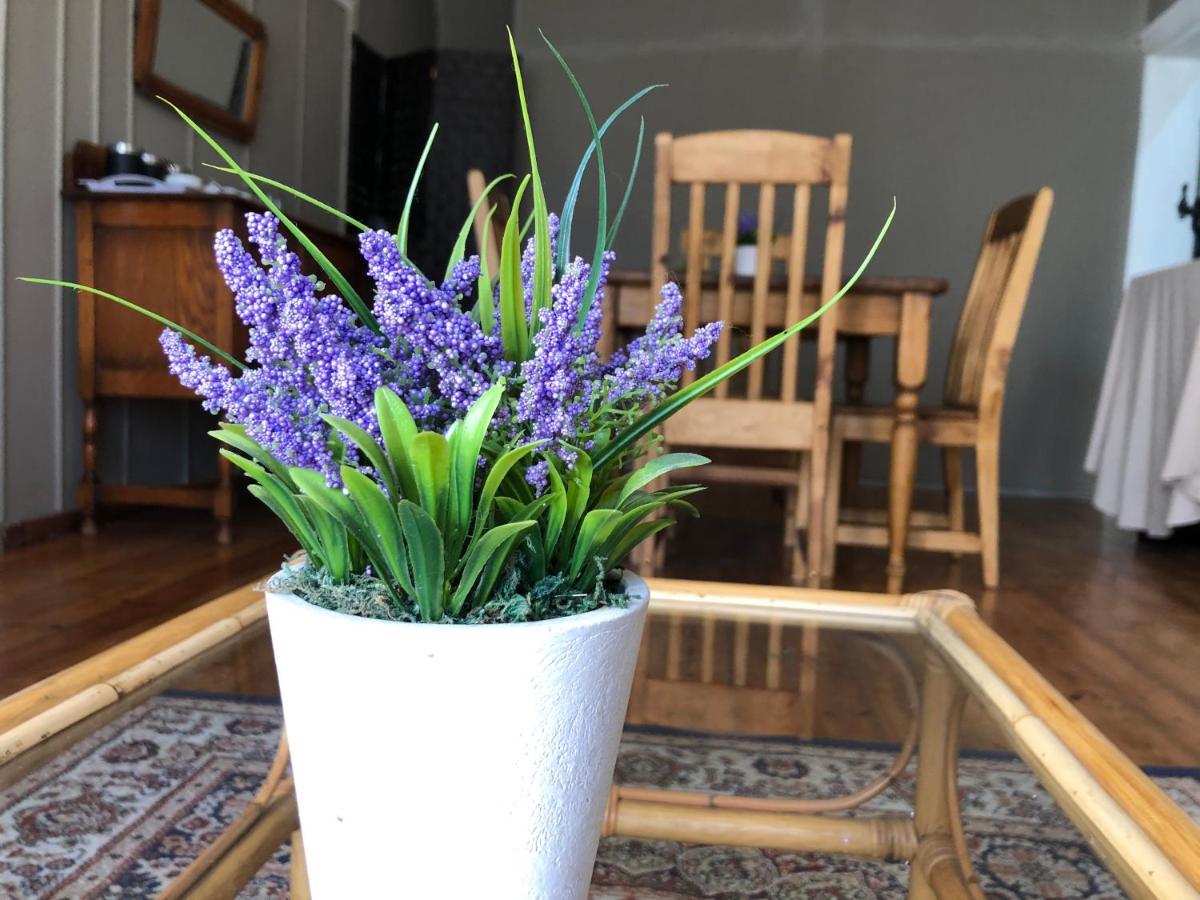 קרונסטד The Lavender Guesthouse מראה חיצוני תמונה